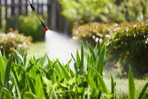 24/7 Emergency Mosquito Control experts in North Bennington, VT