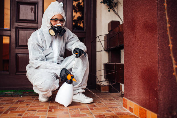 Reliable Mosquito Control contractor in North Bennington, VT by Show Me Pest Control