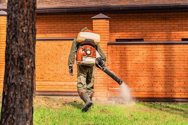 Top rated local Mosquito Control specialists in North Bennington, VT